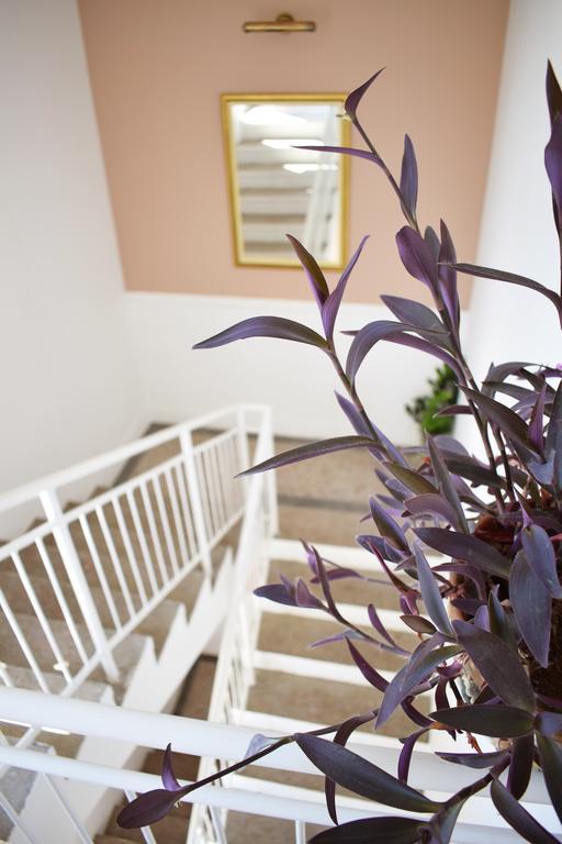 Apartment Sneshka Ohrid Exterior photo
